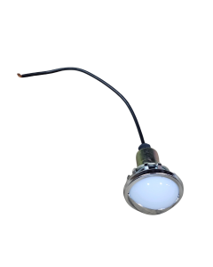 License Light, New Frame Dump/E7 Ut